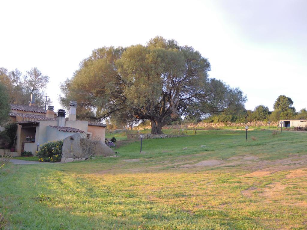 Agriturismo Candela Hotell Arzachena Exteriör bild
